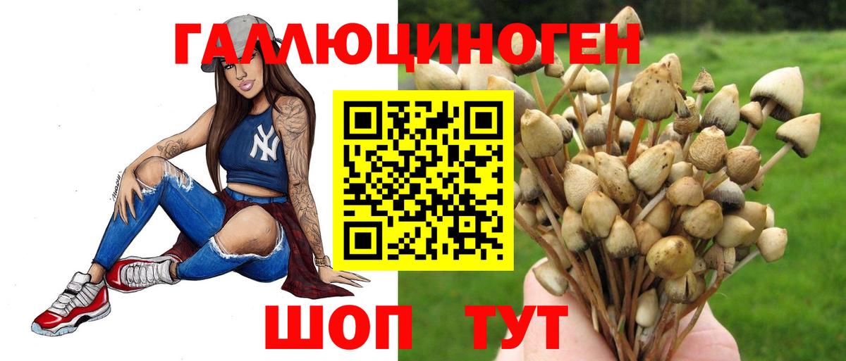 Псилоцибиновые грибы прущие грибы Богданович