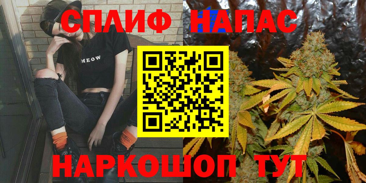 Каннабис конопля Богданович